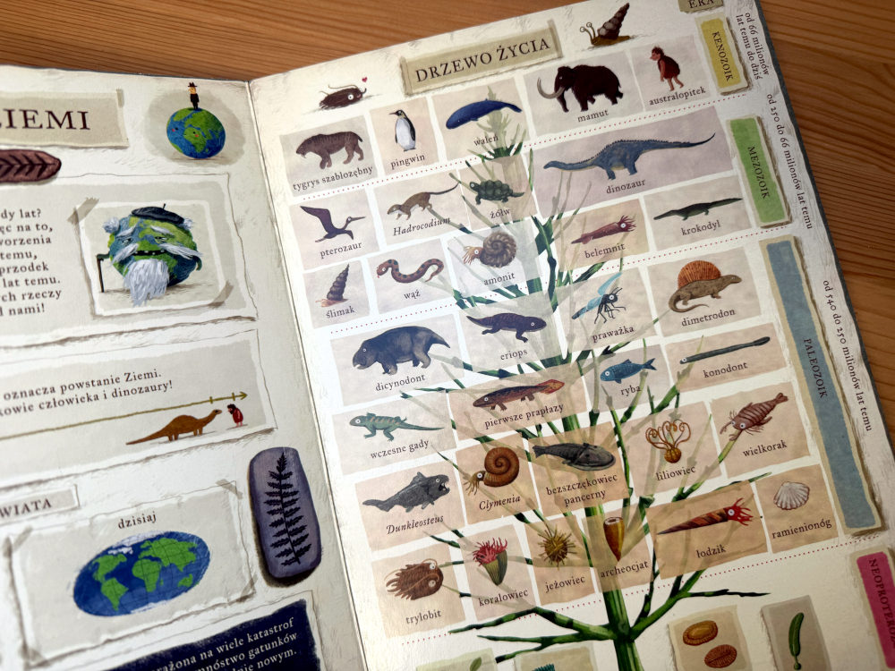 Co robią dinozaury? – ilustracja  książki dla dzieci o dinozaurach
