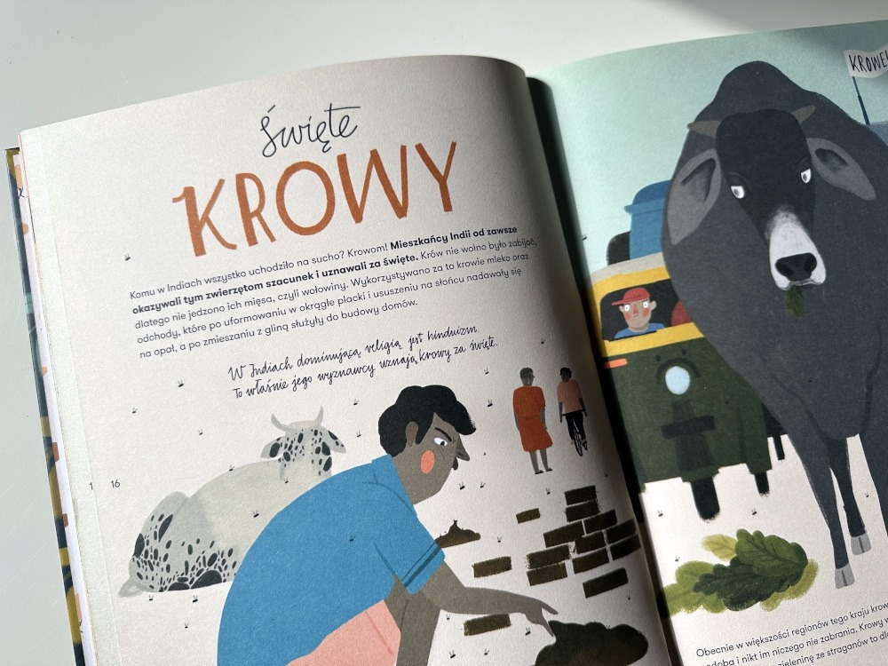 Krowy 