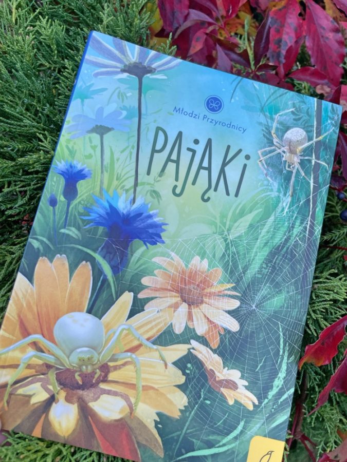 Pająki