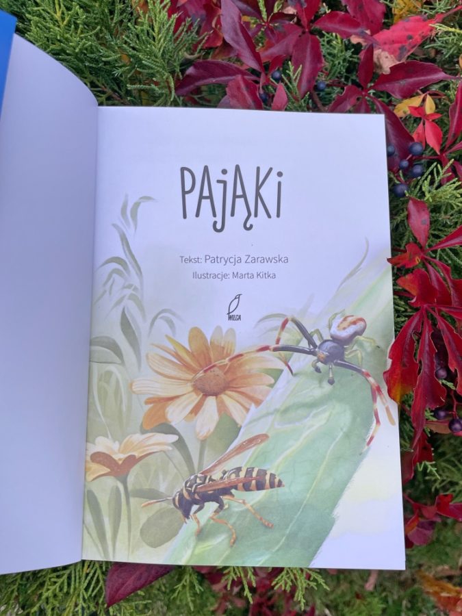 Pająki