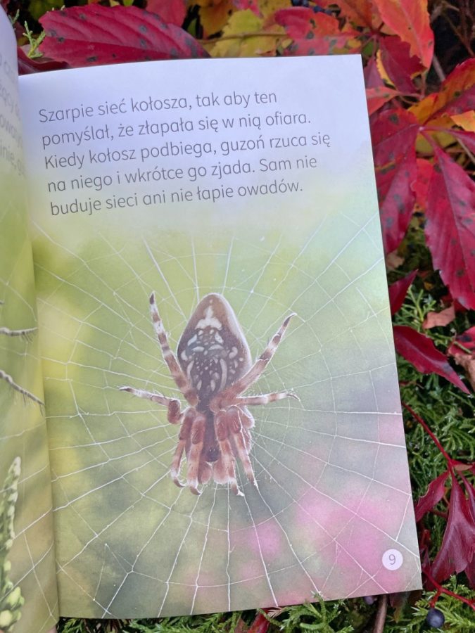 Młodzi Przyrodnicy