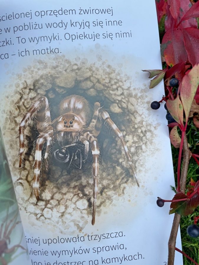 Młodzi Przyrodnicy