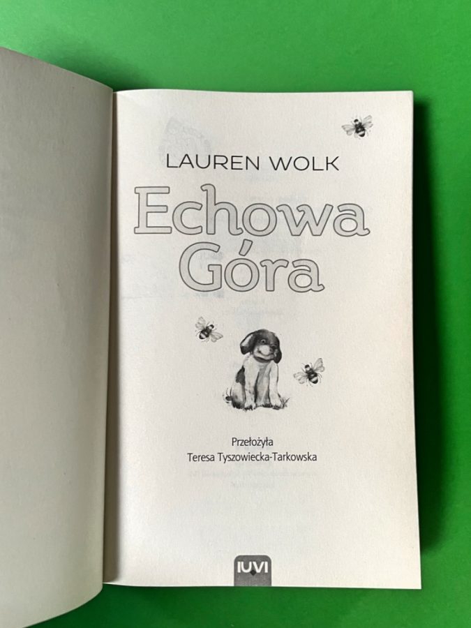 Echowa góra