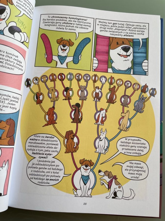 Psy