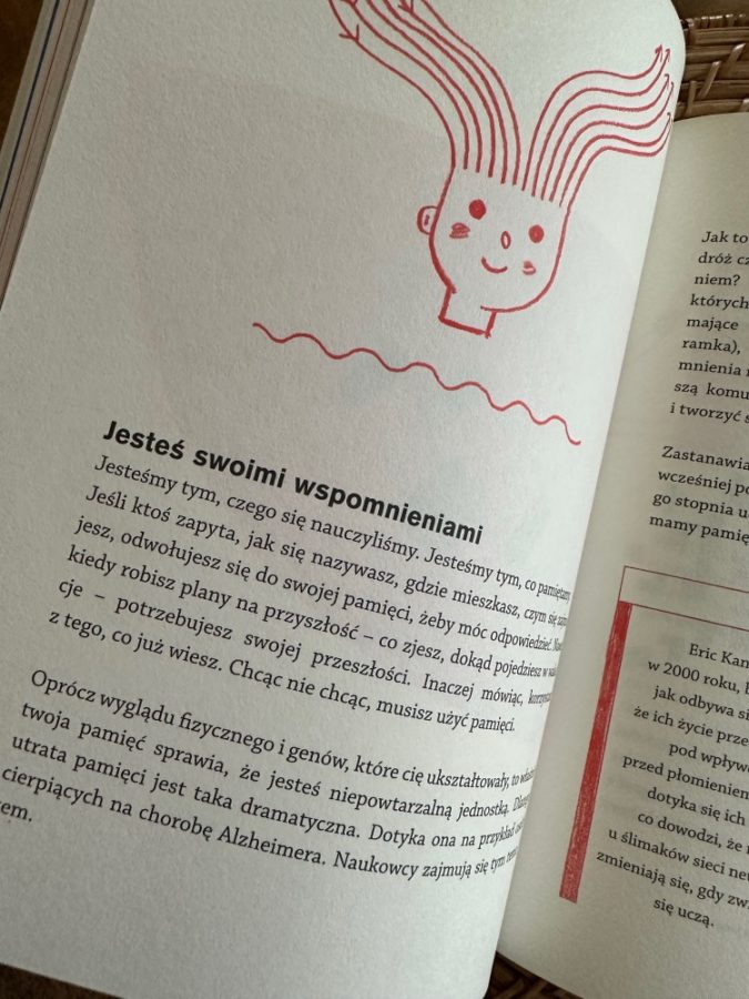 Wyprawa do wnętrza mózgu