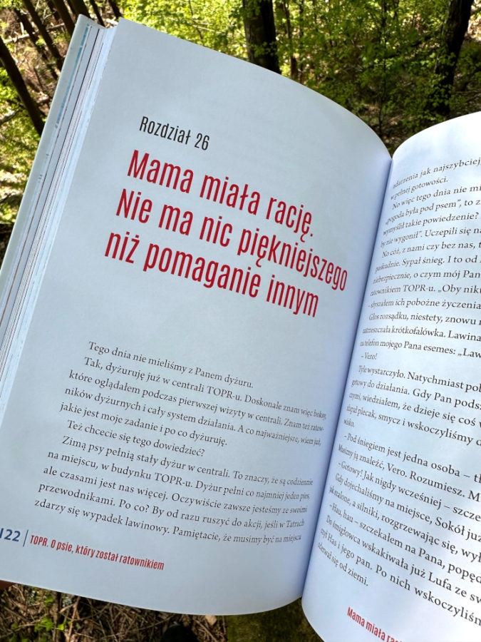 Pies ratownik