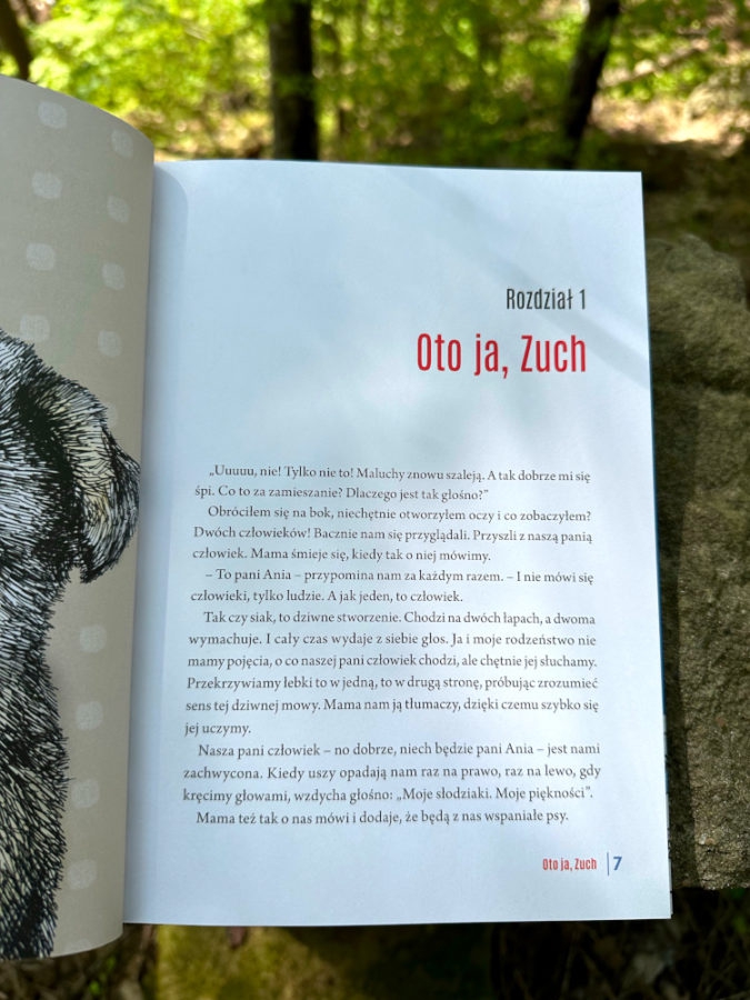 O psie który został ratownikiem