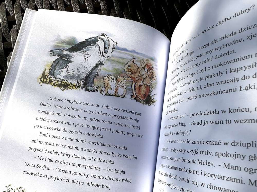 Borsuk i inne leśne zwierzęta