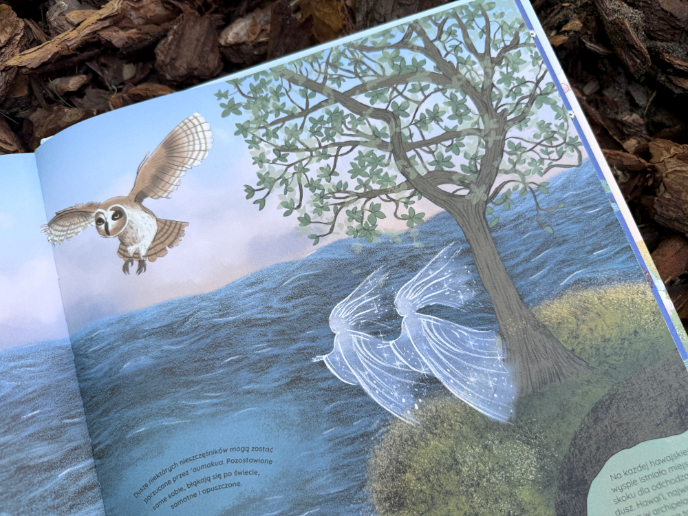 Podróż po świecie mitów i wierzeń – odkryj z dzieckiem tajemnice zaświatów w książce Atlas zaświatów.