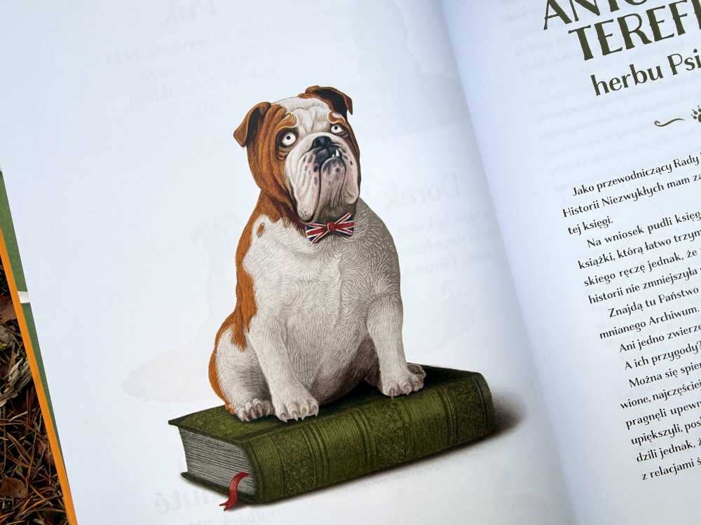 Ilustracja buldoga Antoniego Terefere herbu Psia Kość siedzącego na wielkiej zielonej księdze – fragment książki Psyjaciele Marcina Kozioła.