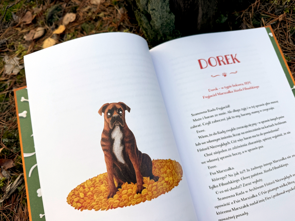 Ilustracja psa Dorka, boksera Józefa Piłsudskiego, siedzącego na złotych monetach – fragment książki Psyjaciele.