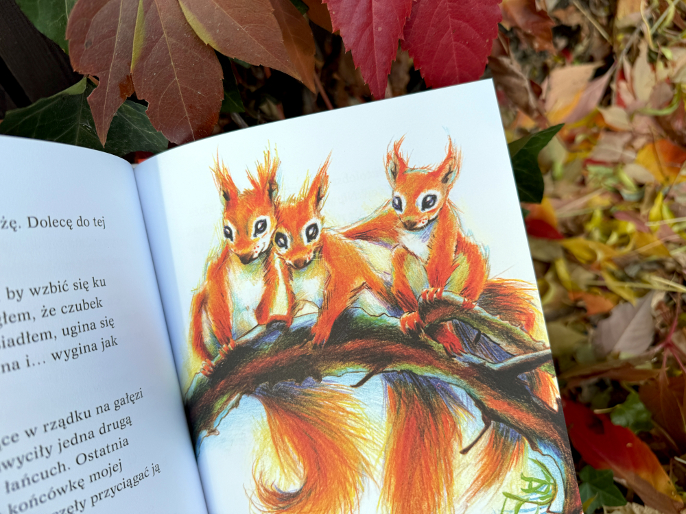 Wiewiórki na gałęzi drzewa 