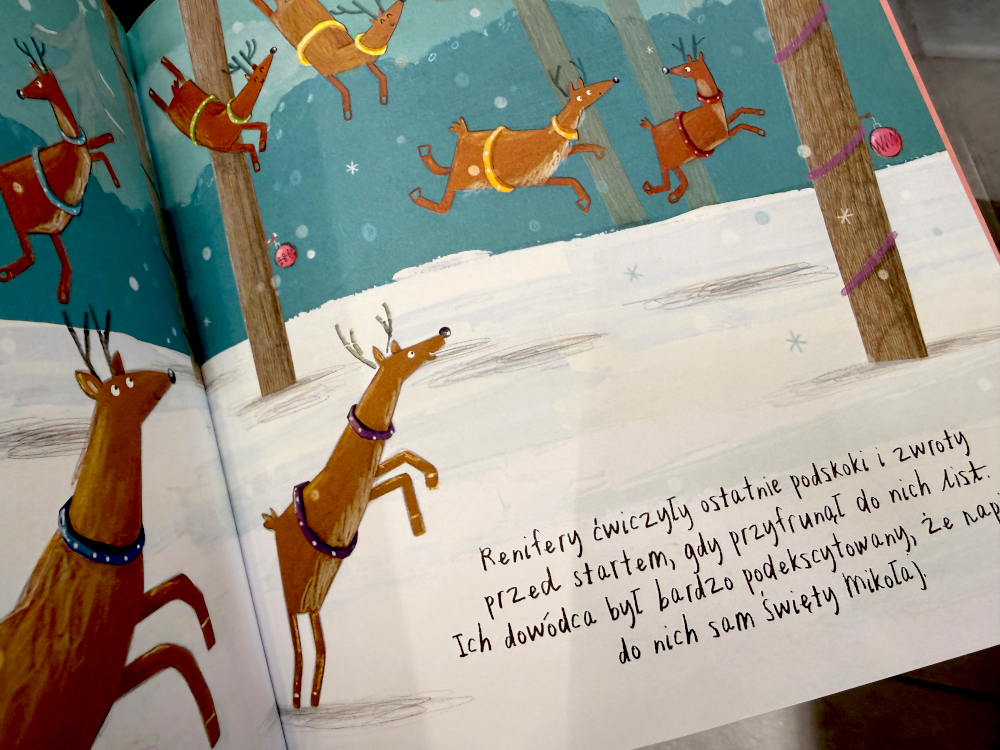 Renifery Świętego Mikołaja przygotowują się przed startem