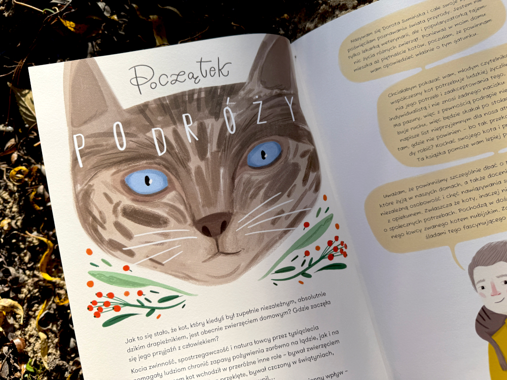 Ilustracja dużej kociej głowy z książki „Skąd przyszedł kot?” – detaliczny portret kota z przenikliwym spojrzeniem.