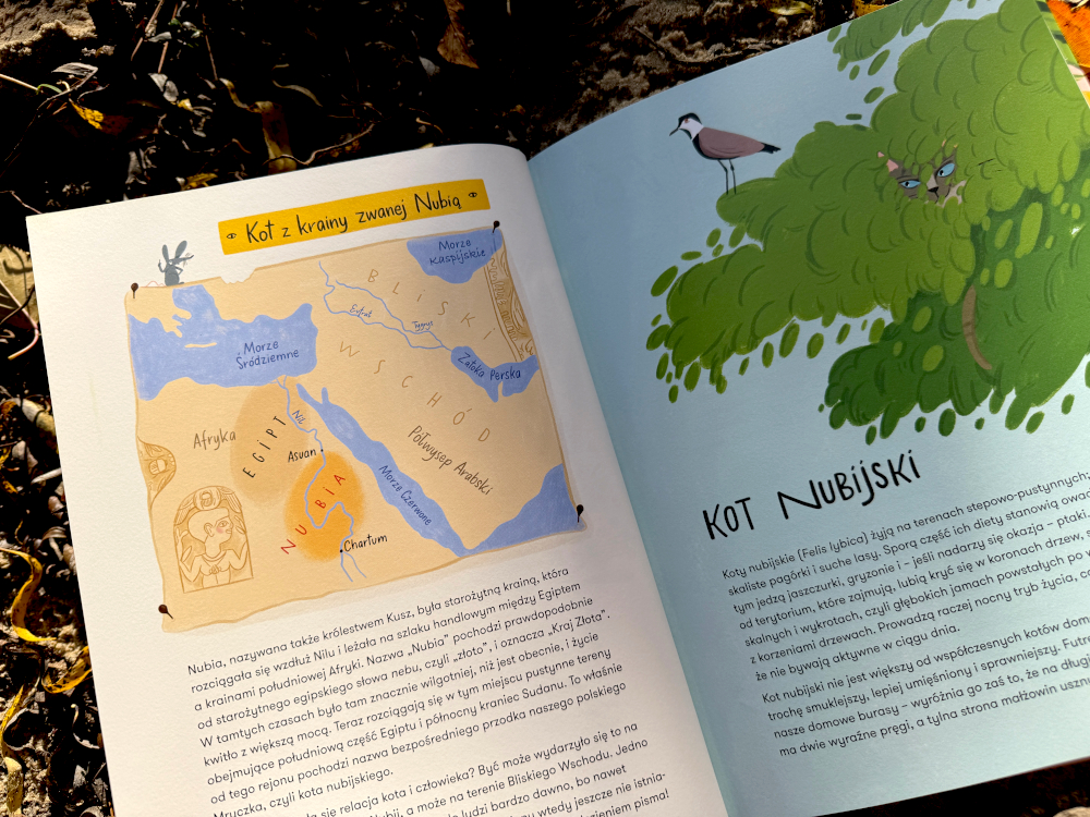 Ilustracja mapy Afryki z książki „Skąd przyszedł kot?” – początki historii nubijskiego kota i pierwsze kocie ślady.