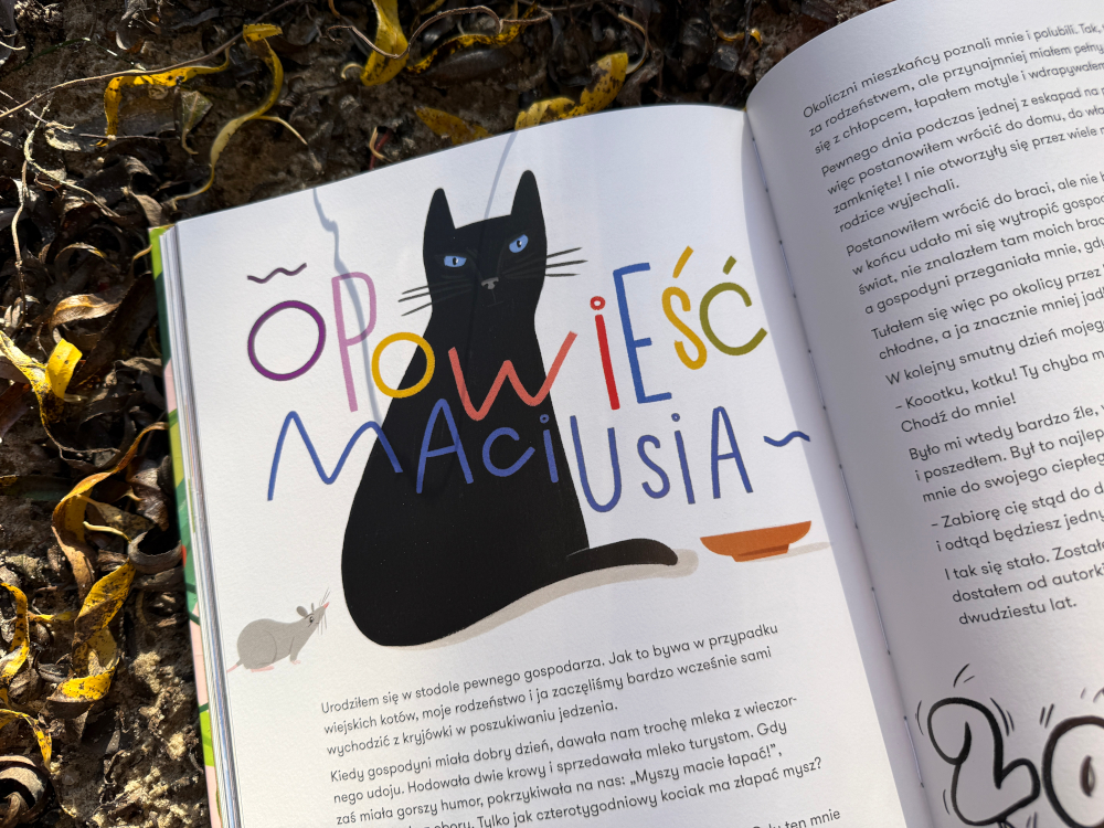 Współczesne koty z książki – domowe mruczki odpoczywające z ludźmi na kanapie.