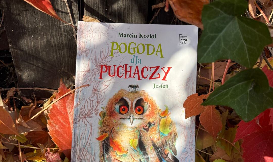 Pogoda dla Puchaczy Jesień - okładka książki