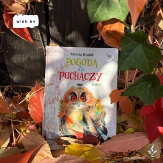 Pogoda dla Puchaczy Jesień - okładka książki