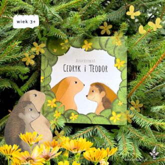 Okładka książki Cedryk i Teodor autorstwa Anny Borkowskiej, przedstawiająca dwóch bohaterów – Zająca Cedryka i Jeżyka Teodora – w nastrojowej leśnej scenerii.