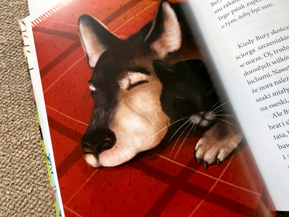 Ilustracja z książki Bury i Bary – pies Bary jako na posłaniu, książka dla dzieci o empatii i losie zwierząt