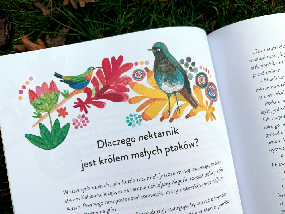 Dlaczego nektarnik jest królem ptaków - ilustracja z książki Dlaczego pawian nie lubi żółwia
