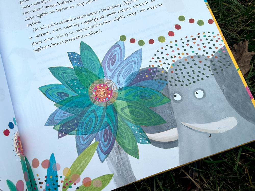 Słoń z dużymi białymi ciosami - ilustracja z książki Dlaczego pawian nie lubi żółwia