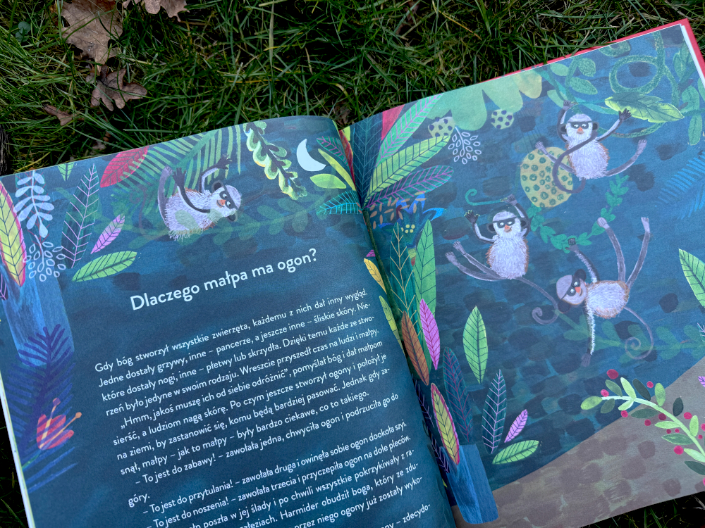 Rozdział Dlaczego małpa ma ogon? w książce o zwierzętach dla dzieci