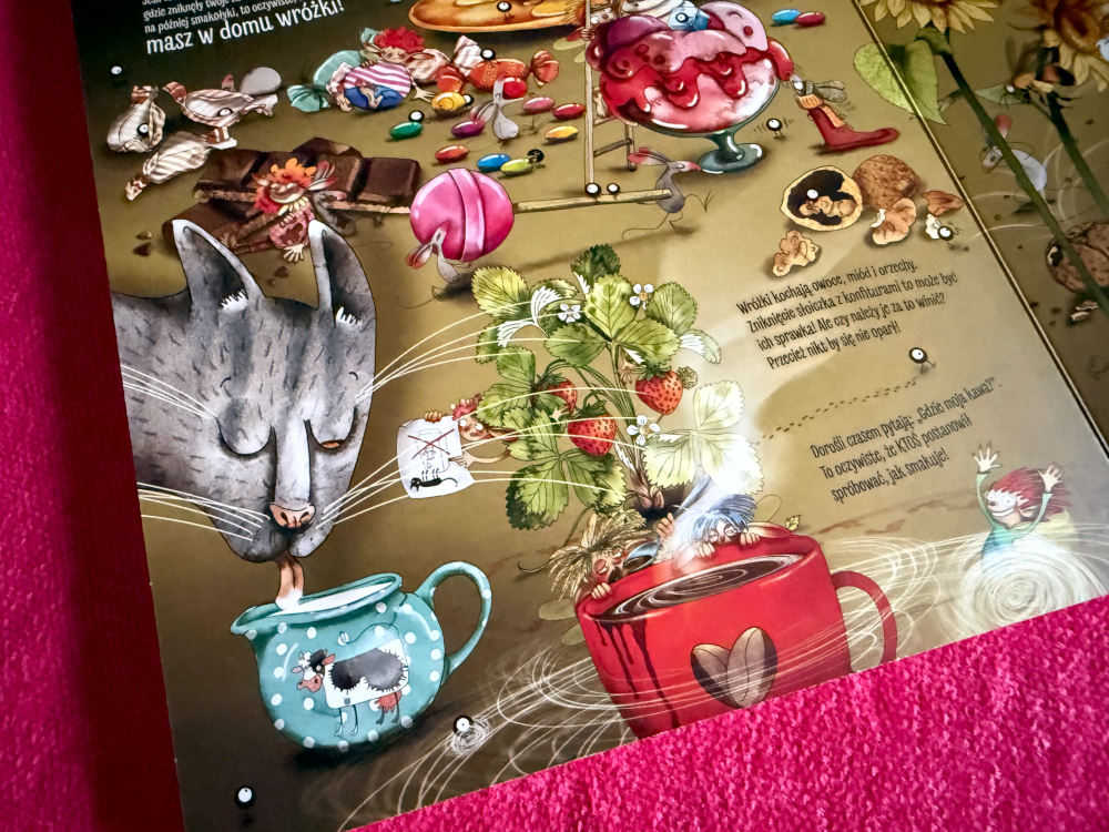 Picture book o wróżkach dla dzieci autorka Katarzyna Bajerowicz