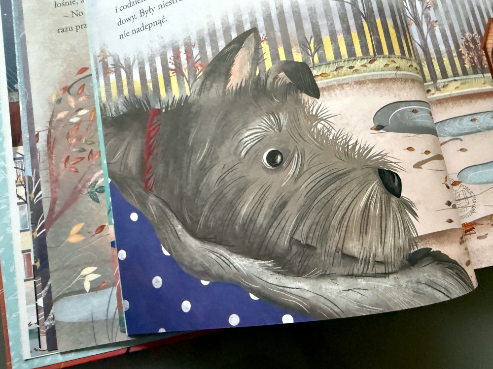 Piesek Fuksik - ilustracja  mordki psa w przybliżeniu