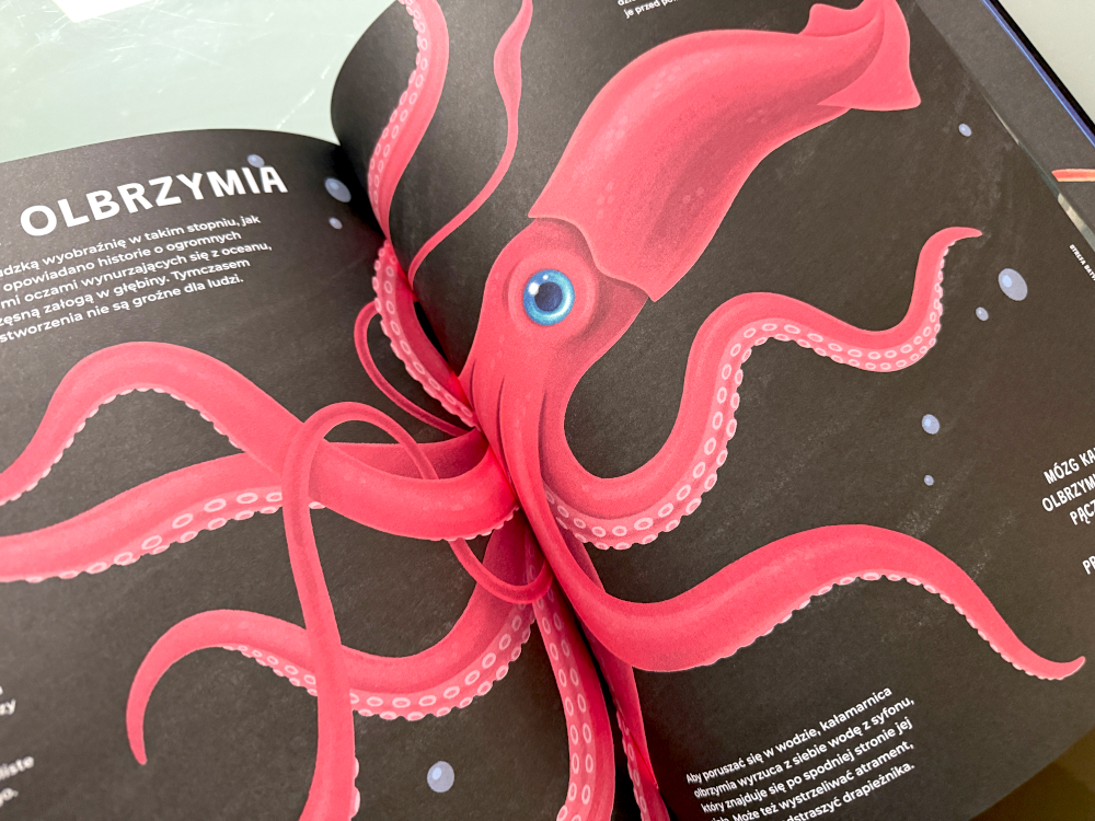 Kałamarnica ilustracja z książki atlasu dla dzieci o morskich stworzeniach głębinowych.