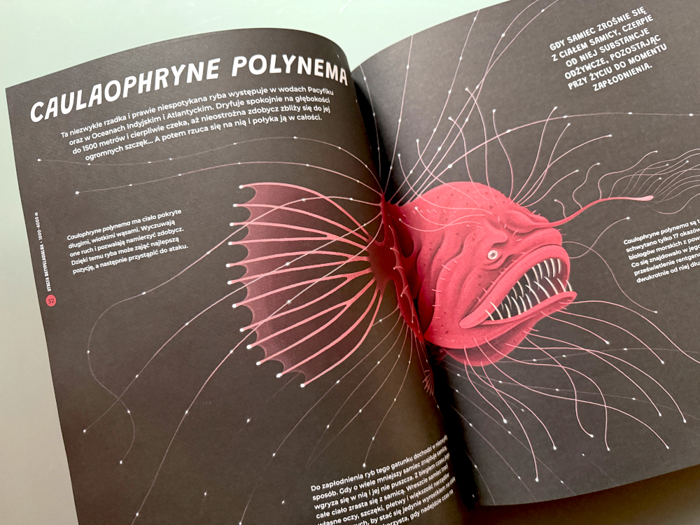 Czerwona ryba głębinowa z rozwiniętymi włóknami czuciowymi na czarnym tle – ilustracja z książki Potwory z głębin, z opisem gatunku Caulophryne polynema.