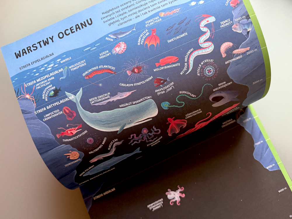 Warstwy oceany w książce przyrodniczej dla dzieci