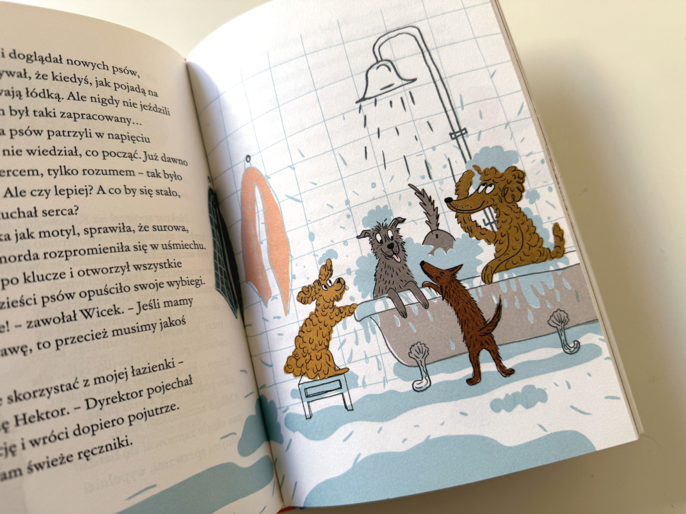 Schronisko dla psów. Psy biorą prysznic