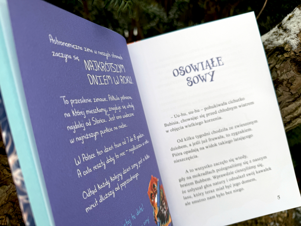 Wnętrze książki Pogoda dla puchaczy. Zima – edukacja przyrodnicza dla dzieci o przesileniu zimowym i puchaczach.