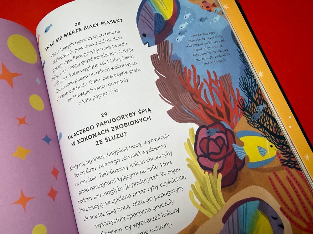 Skąd bierze się biały piasek - pytania dzieci z książki  Wszystko co chcesz wiedzieć