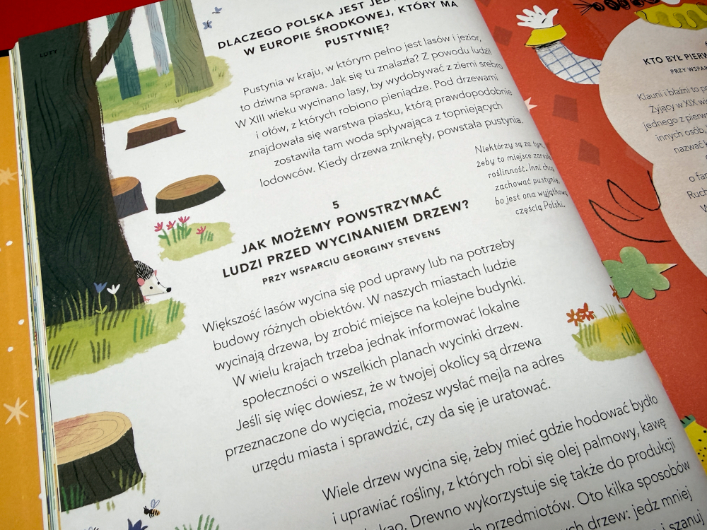 Wnętrze książki „Wszystko co chcesz wiedzieć” – pytania dzieci o świat, ilustracje i odpowiedzi w książce edukacyjnej dla dzieci