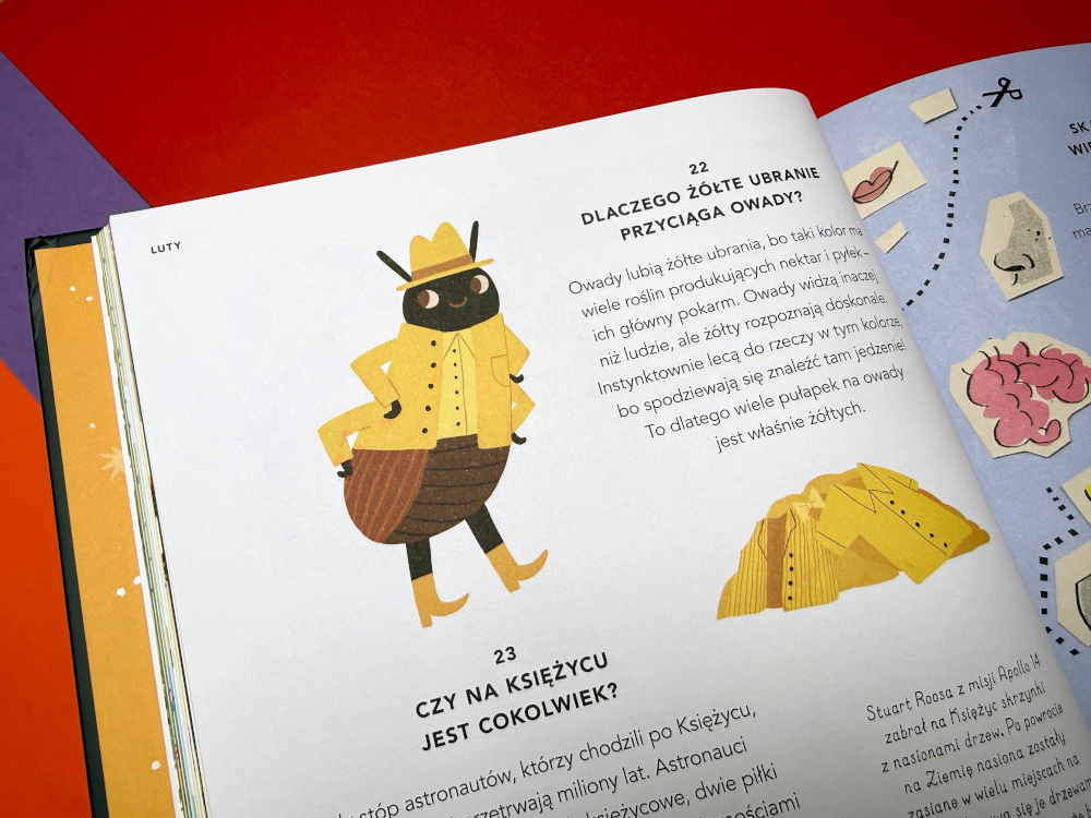 Ilustracja z książki „Wszystko co chcesz wiedzieć” – pytanie dlaczego żółte ubrania przyciągają owady, książka popularnonaukowa dla dzieci