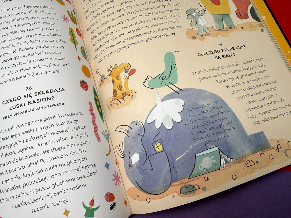  Wszystko co chcesz wiedzieć - wnętrze książki