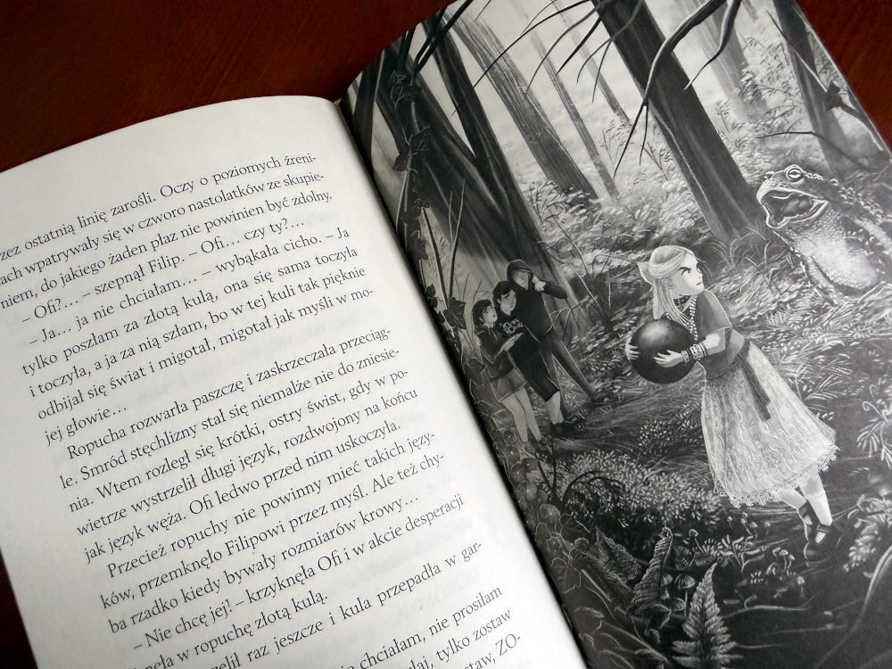 Zapadły pałac – wnętrze książki, pierwszy rozdział powieści fantasy dla nastolatków o dorastaniu i presji szkolnej