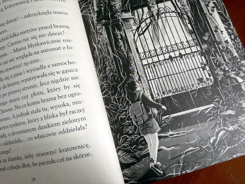 Zapadły pałac – ilustracja przedstawiająca bohaterkę przed tajemniczą bramą szkoły w lesie, książka młodzieżowa z elementami grozy