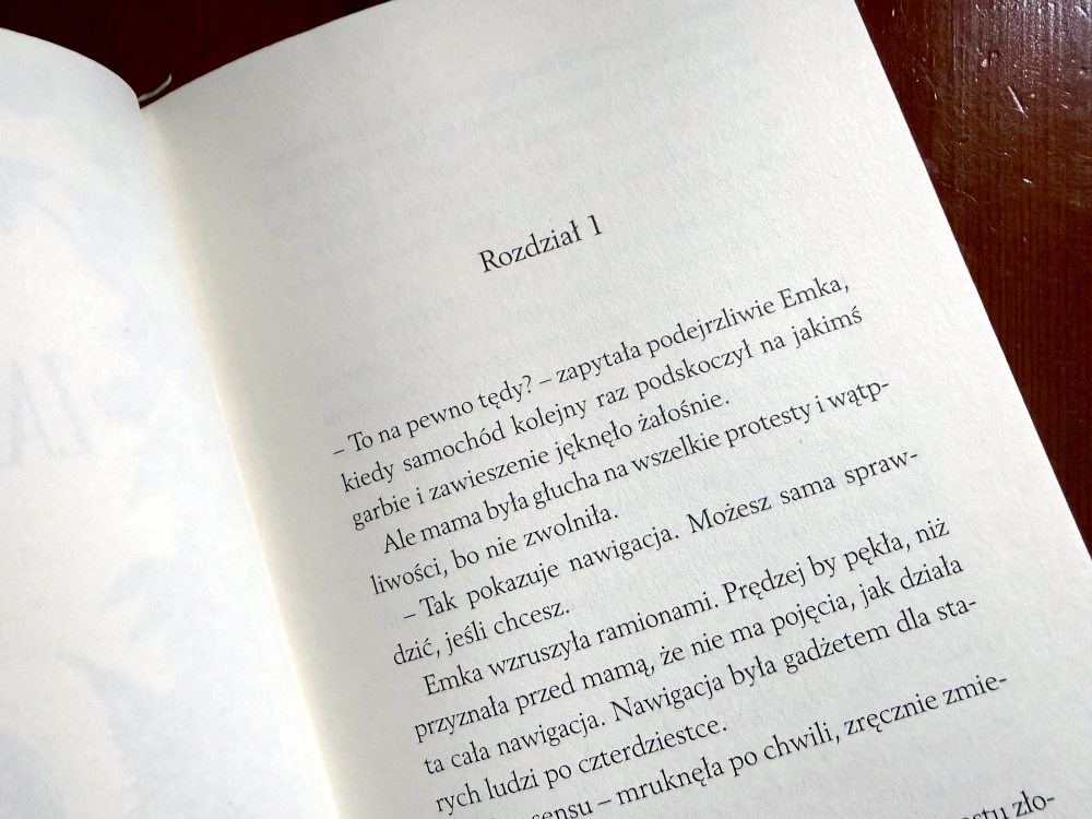 Zapadły pałac – wnętrze książki, pierwszy rozdział powieści fantasy dla nastolatków o dorastaniu i presji szkolnej