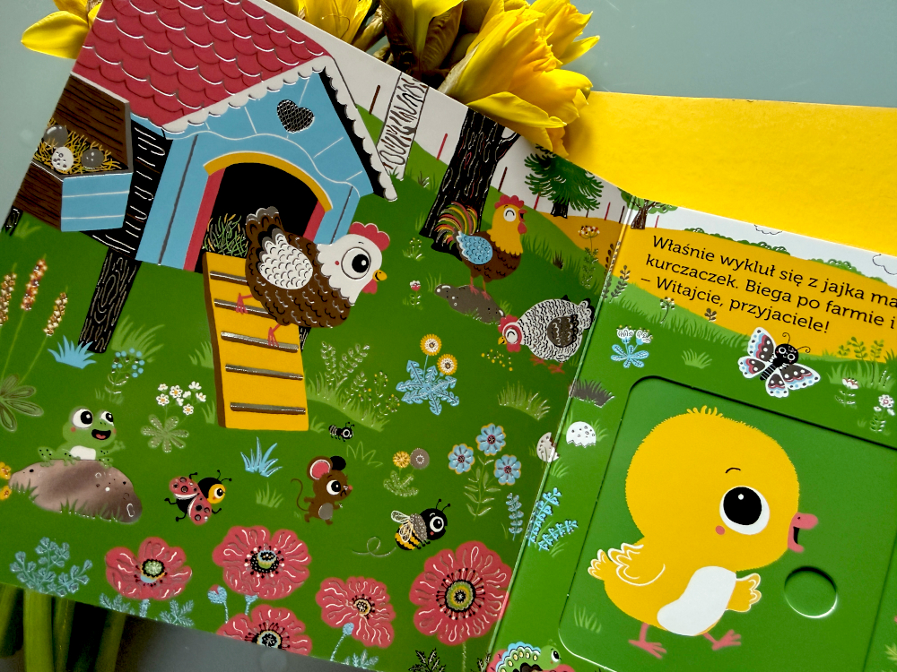 Otwarta interaktywna książeczka dla dzieci z kurczaczkiem, ruchomymi elementami i farmą wiosną na zielonej łące.