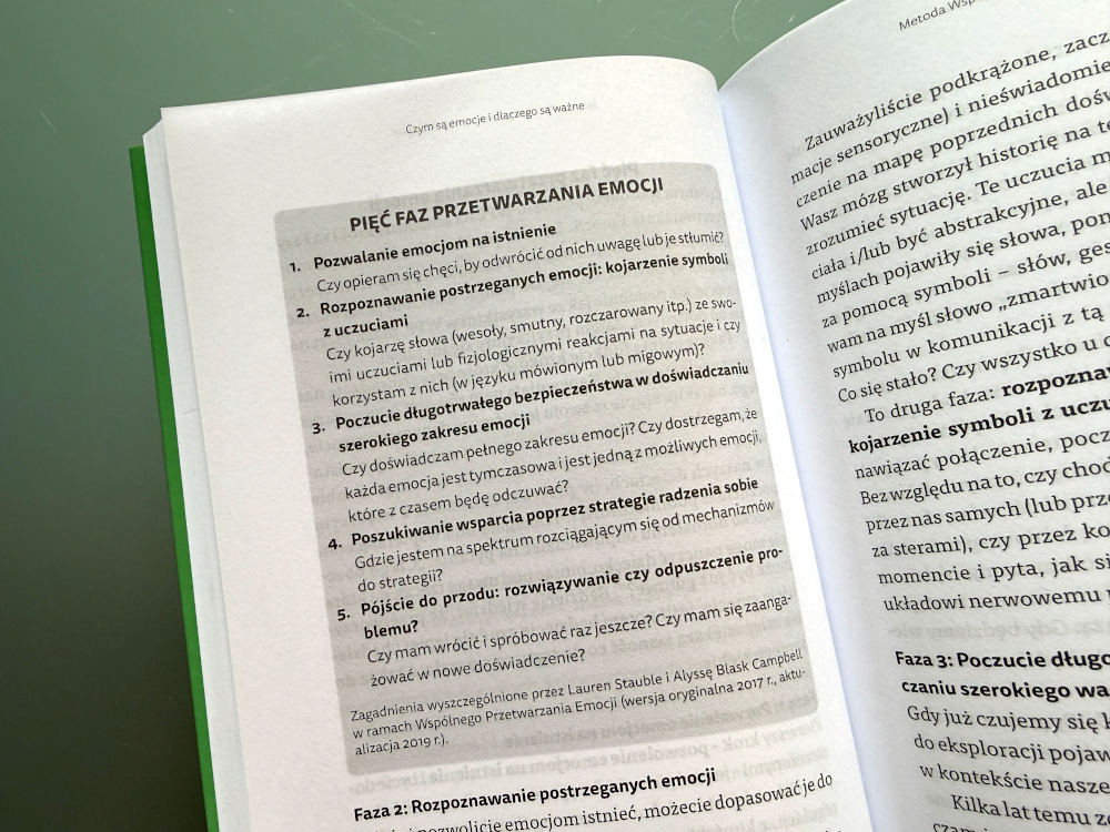 Fragment książki Mali ludzie Wielkie emocje prezentujący listę pięciu faz przetwarzania emocji przez dzieci i rodziców.