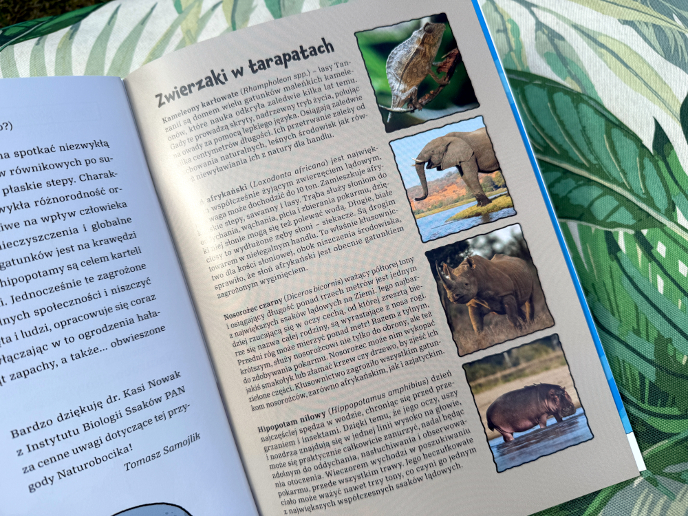 Edukacyjna strona książki ze zdjęciami kameleona, słonia afrykańskiego, nosorożca czarnego oraz hipopotama nilowego.