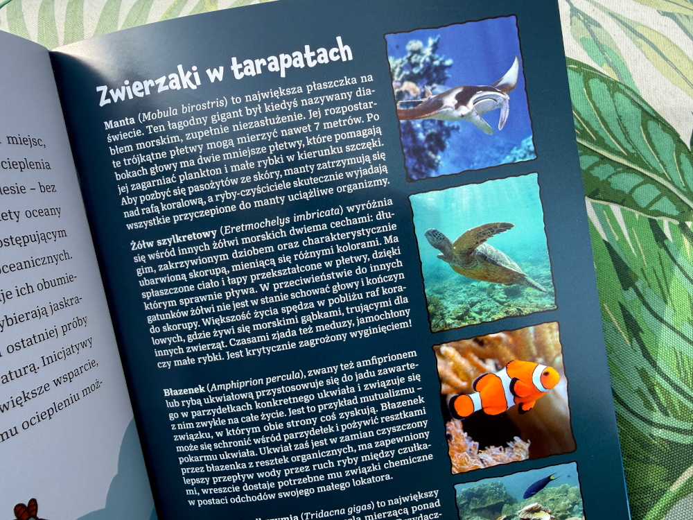 Strona z tekstem i zdjęciami morskich zwierząt: płaszczki manty, żółwia szylkretowego oraz błazenka wśród koralowców.
