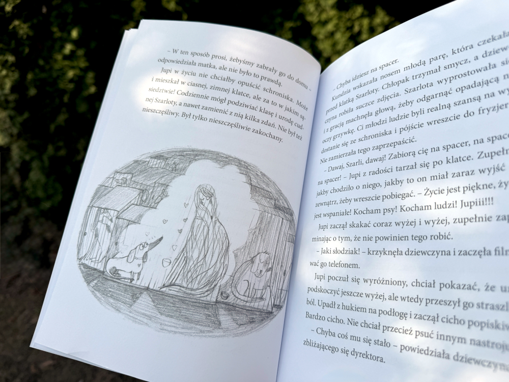 Wnętrze książki dla dzieci z ilustracją psów w schronisku, ołówkowy rysunek i tekst opowieści na dwóch stronach