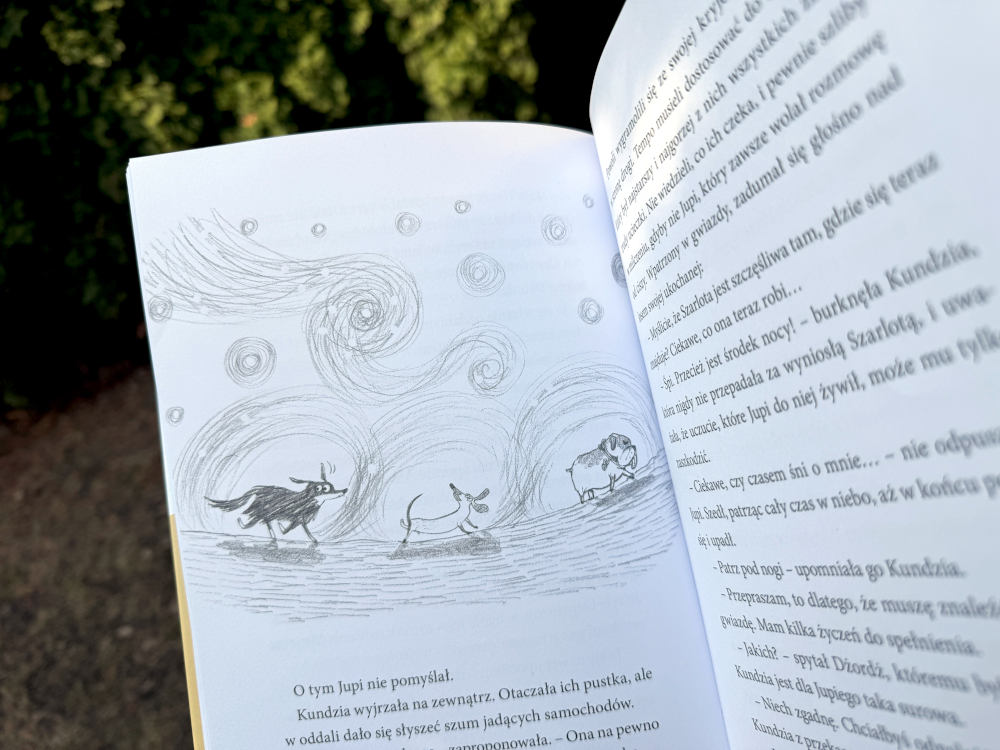 Ilustracja psów biegnących nocą pod gwiaździstym niebem, szkic ołówkiem na rozkładówce książki dla dzieci