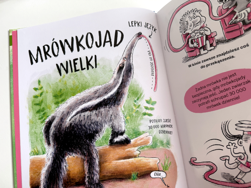 Rozkładówka książki Zwierzaki Cwaniaki z ilustracją mrówkojada wielkiego i ciekawostką o zjadaniu 30 tysięcy mrówek dziennie