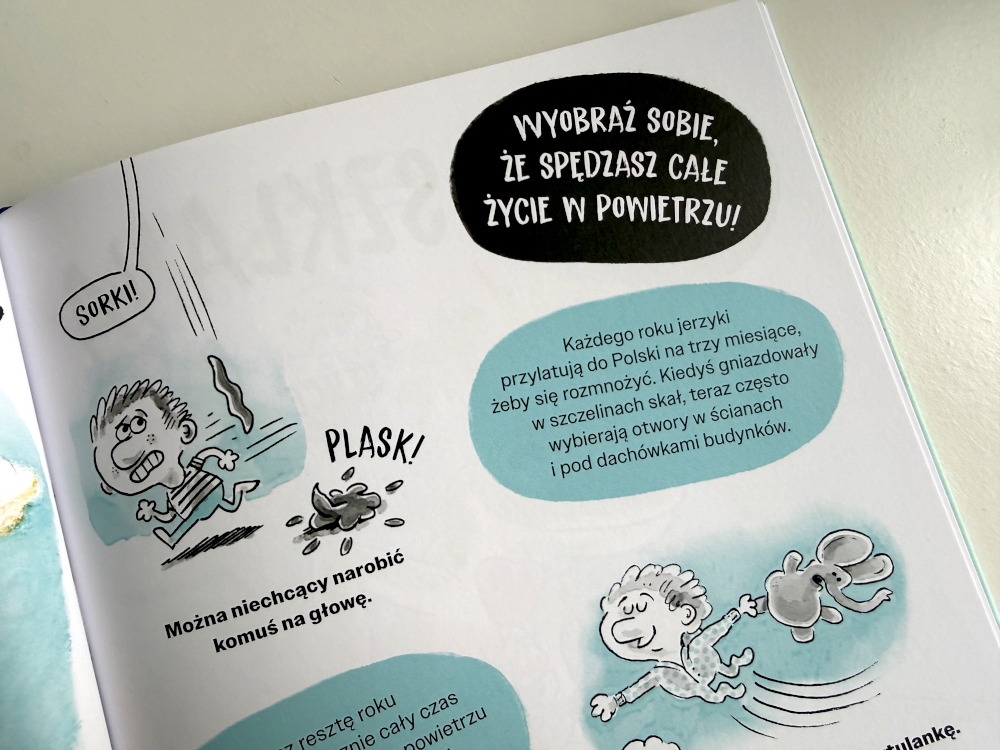 Strona książki Zwierzaki Cwaniaki z ciekawostkami o jerzyku i ilustracjami pokazującymi życie ptaka spędzającego większość czasu w locie