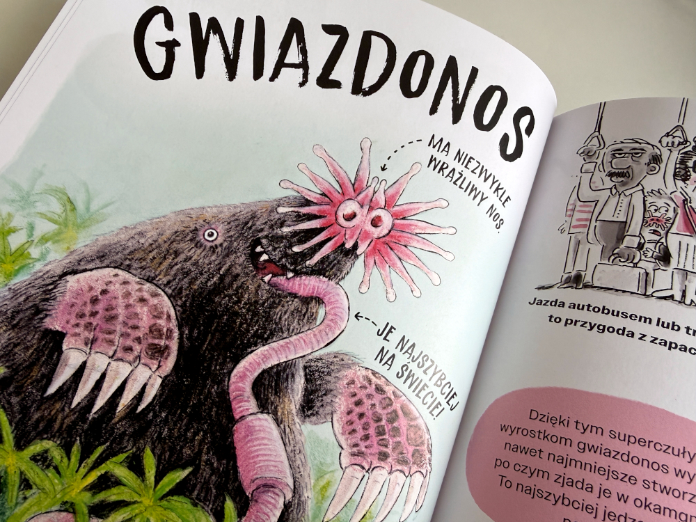 Ilustracja Gwiazdonosa pokazująca jak zjada dżdżownicę